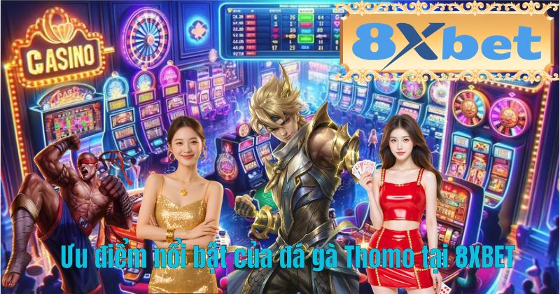 Ưu điểm nổi bật của đá gà Thomo tại 8XBET